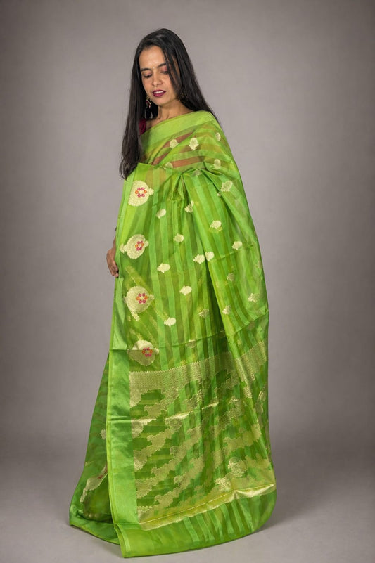 Kashi Kora - Patta Green Saree with Meenakari Motifs